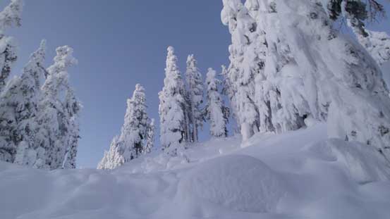 From the broad forested col, looking upwards