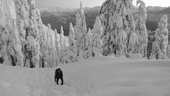 Plodding up the lower stretch of Anif Peak's NE Ridge