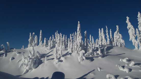 This is the highest point