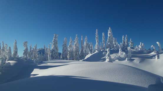 More about the summit plateau. We wondered around a bit for some views