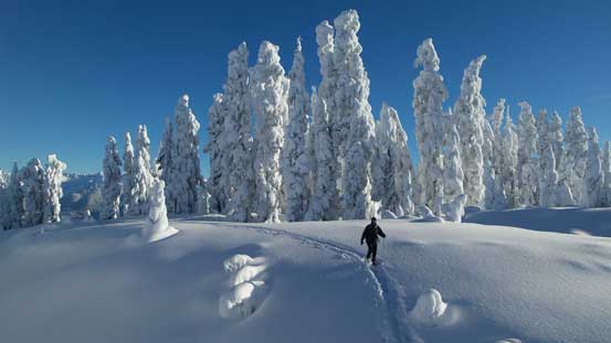 Vlad going for the highest point