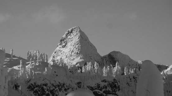Vlad and I climbed Mt. Habrich last year - a tough one by Shannon Creek basin.