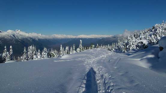 Re-joining the logging road now