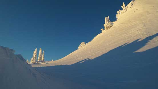 Time to give it a shot. 