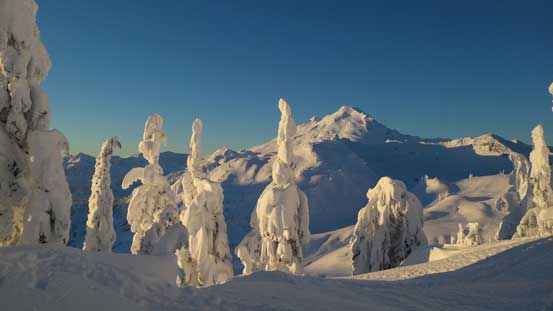 Looking through the tree sculptures towards Mt. Baker