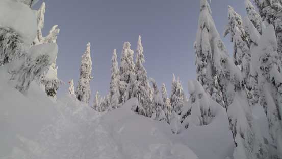 Near the summit of Dam Mountain 