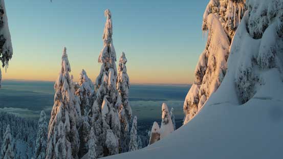 Gorgeous morning colours!