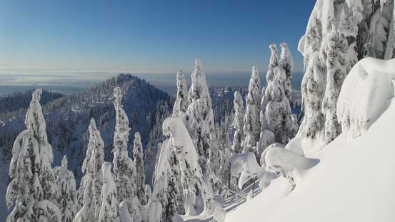 Time to head down. That forested summit behind is Dam Mountain
