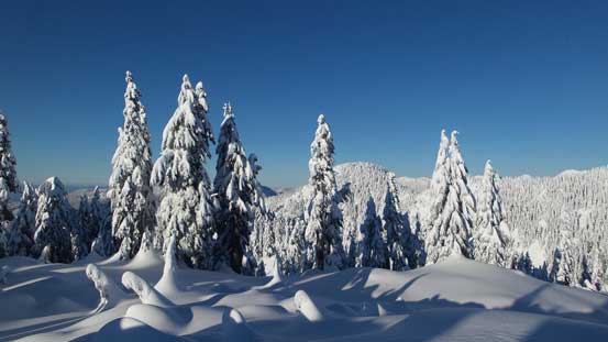 Now back to the summit of Little Goat Mountain, after tagging Goat Mountain