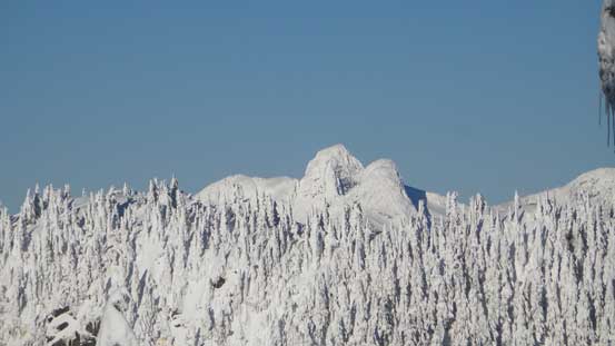 The Lions - East Lion in front and West Lion behind