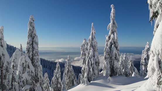 Back at the summit of Dam Mountain now