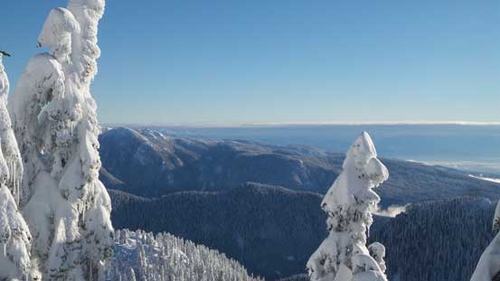 Looking eastwards towards Mt. Seymour and its lower slopes