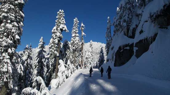 This is that logging road section traversing beside Grouse Mountain 