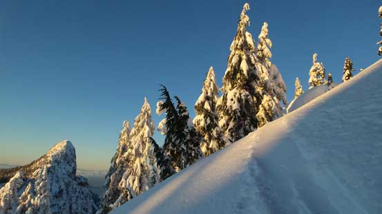 Plodding up Magnesia Peak since I was there anyway. 