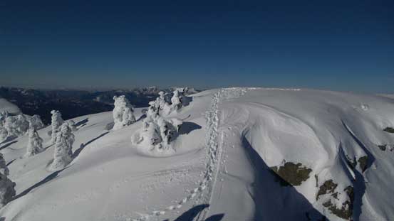 My tracks on the summit