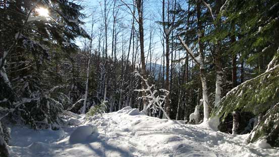 Plodding down the Magnesia Creek spur road