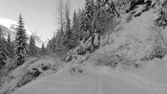 Plodding up the Steep Creek FSR