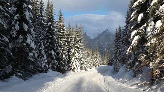 For a total of 6 km of this. 