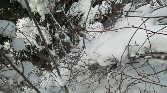 Let's deal with this tangled mess... 