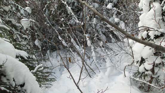 Powering it through... 