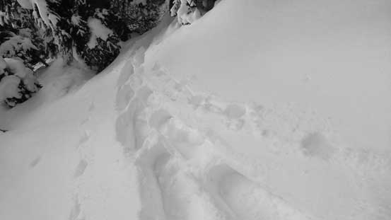 Heavy duty trail-breaking at the same time... 