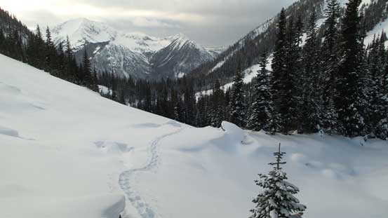 Looking back at my tracks into the upper draw 