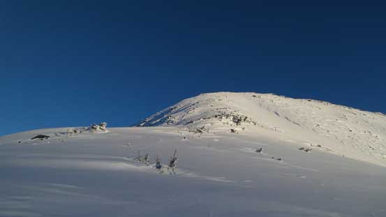 This is the typical terrain on the south ridge of Windfall Peak. 
