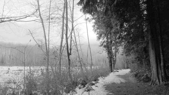 As much as the view from Killarney Lake Trail