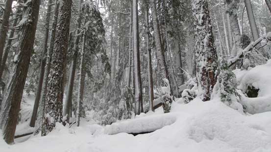 Starting to get frosty as approaching elevation of 600 m