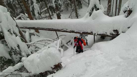 This is the first steep section. 