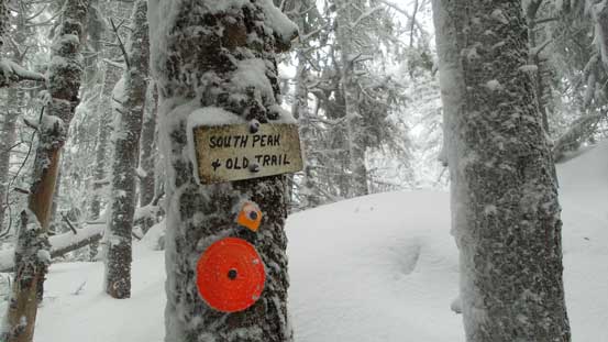 We turned our attention to the true summit instead. 