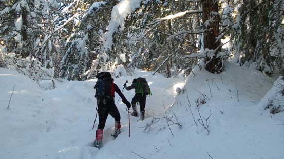 Struggling in snow... 