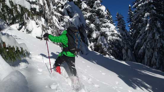 Al mastering the deep snow. 