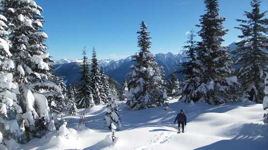 The views started to open up a bit now. 