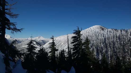Above the high col I followed the wooded NE Ridge up. This is looking back from the ridge.