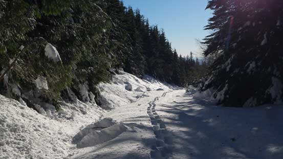 What a trail that I broke in the morning... 