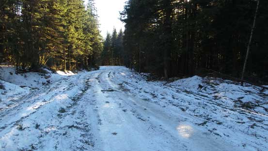 The Lost Creek FSR is as icy as it looks here... 