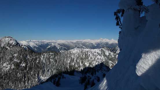 Looking sideways across the steep forested stretch. 