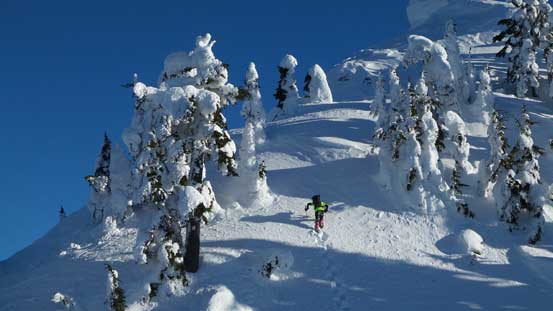 A closer look at Al breaking trail. It's steep... 
