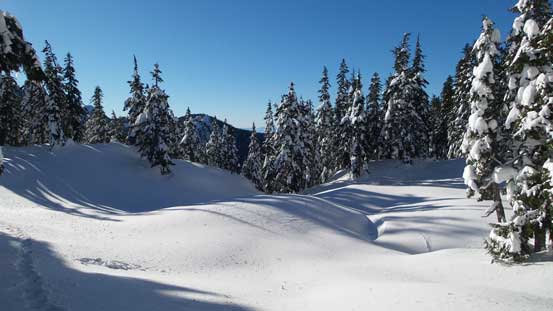 Back to Deeks/Windsor col now. 