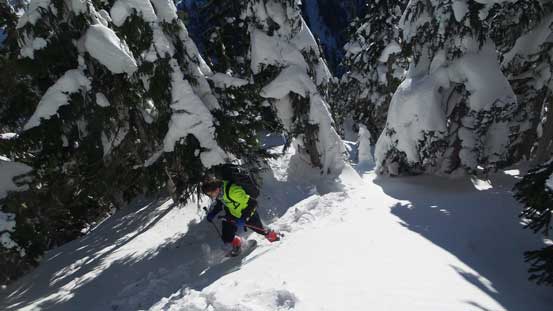 Still had some steep forest to grunt up through.