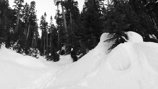 Descending the upper Kallahne Creek valley