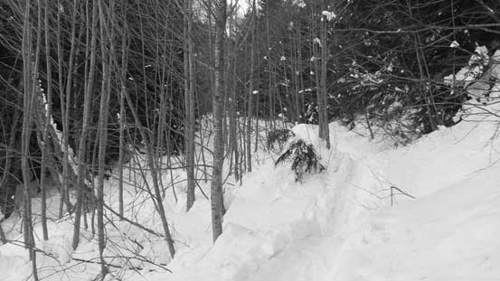 Descending from the shelter on a very packed trail.