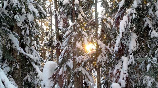 The first beams of sunlight of the day