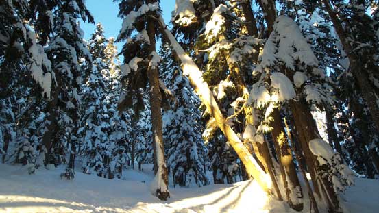 It's going to be another gorgeous day ahead. 