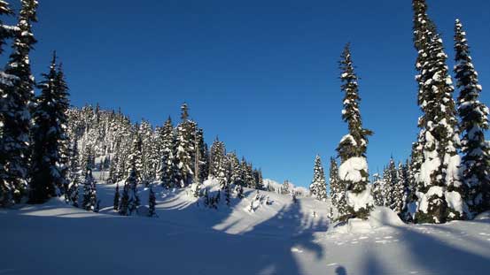 The views were about to open up. 