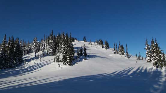 Near treeline now, still going up. 