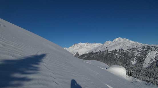 Into the alpine now. 