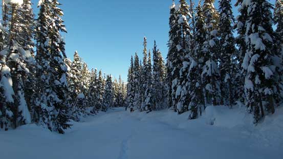 Down to the creek now. 