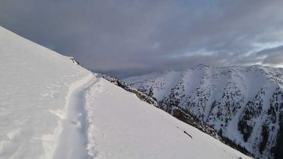Traversing into the alpine zone. 